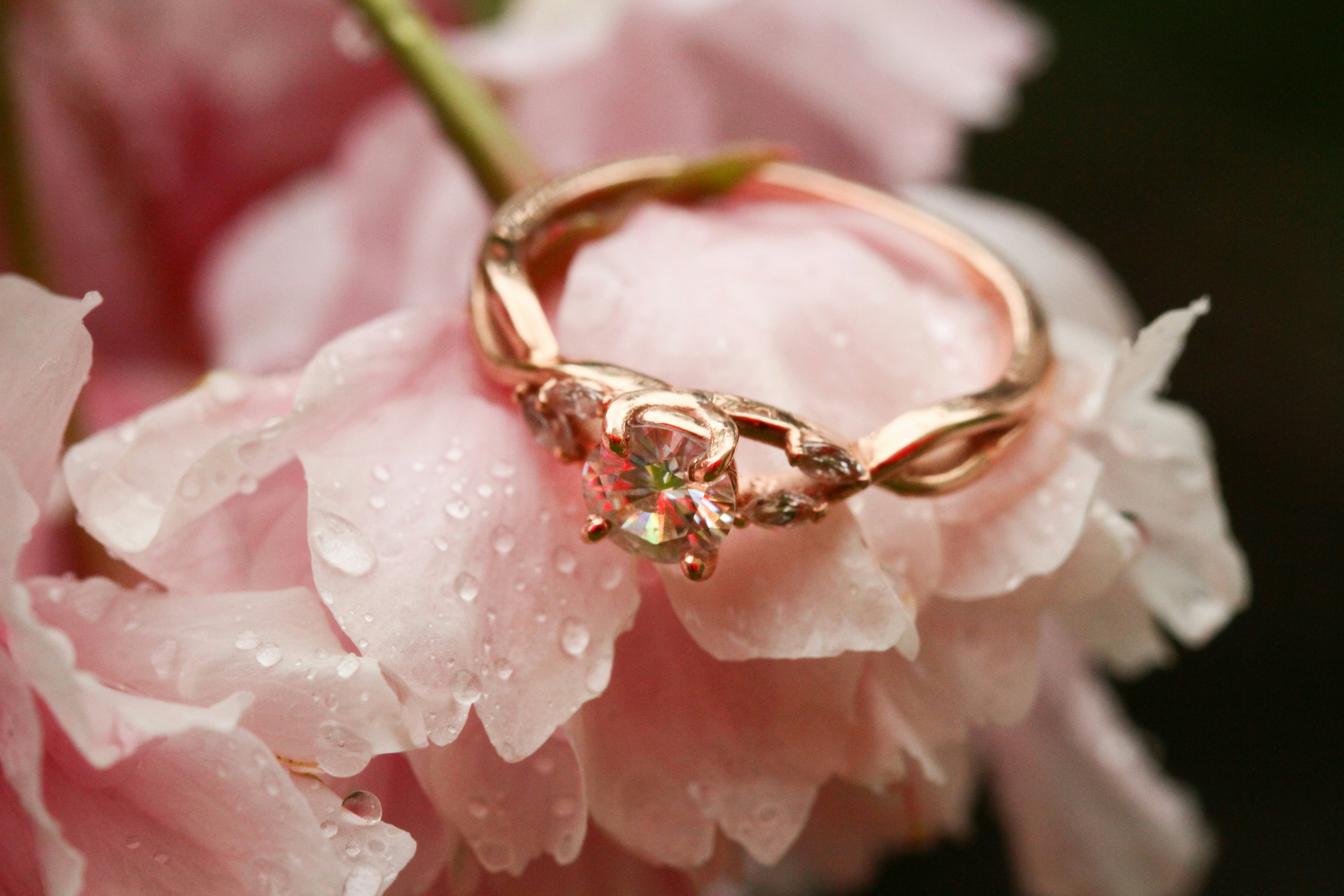 Golden Arc ring from Strong Gold's fine jewelry collection