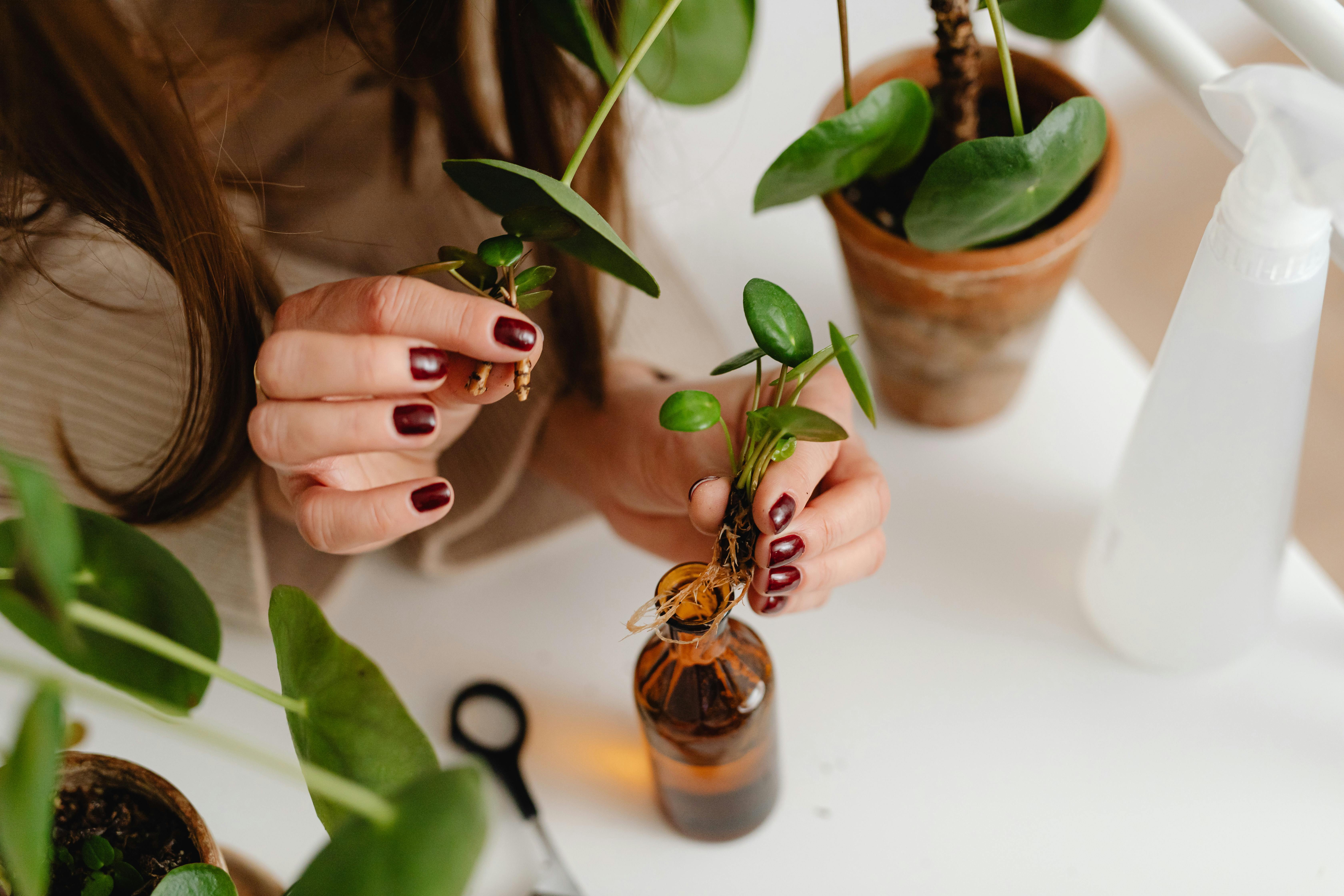 Hormonal health insights