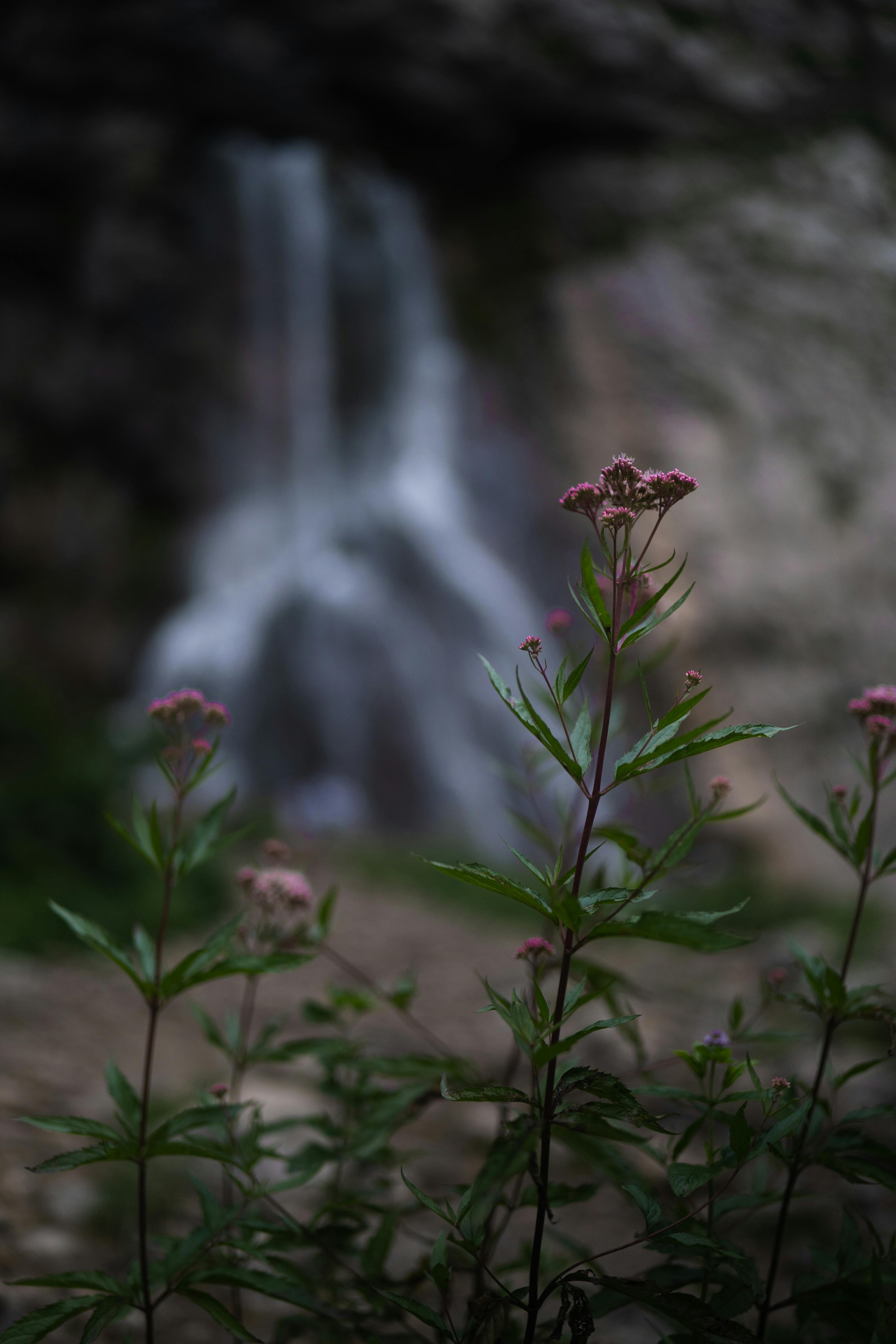 Nature immersion